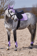 HORZE ADEPTO Czaprak wszechstronny - obrazek 7