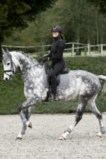 HORZE ADEPTO Czaprak wszechstronny - obrazek 17