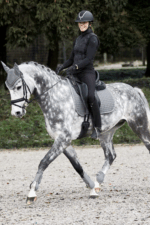 HORZE ADEPTO Czaprak wszechstronny - obrazek 19