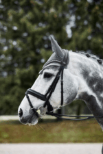 HORZE ADEPTO Nauszniki dla konia FULL - obrazek 4