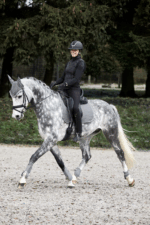 HORZE ADEPTO Nauszniki dla konia FULL - obrazek 5