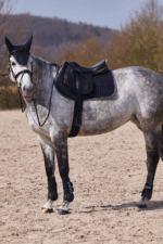 HORZE ADEPTO Czaprak wszechstronny - obrazek 27