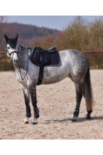 HORZE ADEPTO Ochraniacze skokowe, przody - obrazek 14