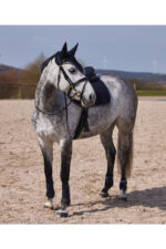 HORZE ADEPTO Ochraniacze skokowe, przody - obrazek 15