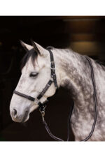 HORZE CHICAGO Kantar z uwiązem dla konia - obrazek 5