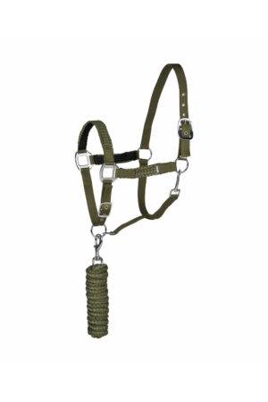 Cyrpess Green/ Loden Green