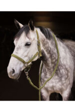 HORZE CHICAGO Kantar z uwiązem dla konia - obrazek 8