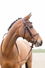 HORZE CONSTANCE Ogłowie z nachrapnikiem kombinowanym - obrazek 3