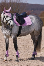 HORZE ADEPTO Czaprak wszechstronny - obrazek 30