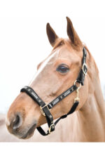 HORZE HAMPTONS Kantar dla konia - obrazek 4