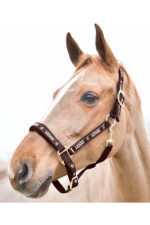 HORZE HAMPTONS Kantar dla konia - obrazek 6