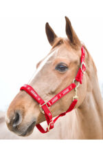 HORZE HAMPTONS Kantar dla konia - obrazek 8