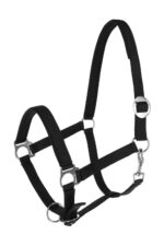 COVALLIERO DORIA Kantar dla konia - obrazek 10