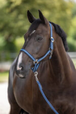 COVALLIERO HIPPO Kantar dla konia - obrazek 10