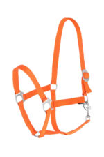 COVALLIERO HIPPO Kantar dla konia - obrazek 5