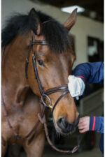 CARR & DAY & MARTIN BELVOIR Rękawiczki do czyszczenia skóry "Step 1" 10 szt. - obrazek 4