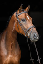 COVALLIERO CLASSIC Ogłowie dla konia - obrazek 5