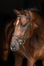 COVALLIERO CLASSIC Ogłowie dla konia - obrazek 6