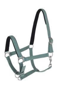 COVALLIERO DORIA Kantar dla konia