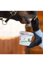 KOŃSKA CUKIERENKA Naturalne smakołyki dla koni, KOKOS 1 L - obrazek 3