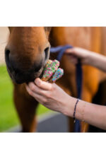 KOŃSKA CUKIERENKA Smakołyki dla koni KOŃSKIE LIZACZKI Z POSYPKĄ - obrazek 5