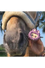 KOŃSKA CUKIERENKA Muffinka dla koni LA-BOOM - obrazek 2