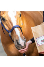 KOŃSKA CUKIERENKA MINI SMACZKI Naturalne smakołyki dla koni 150 g, różne smaki - obrazek 5