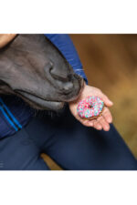 KOŃSKA CUKIERENKA Smakołyki dla koni PĄCZUSIE - obrazek 3