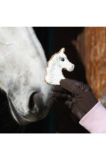 KOŃSKA CUKIERENKA Pierniczek dla koni KOŃSKIE PORTRETY - obrazek 2