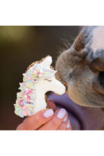 KOŃSKA CUKIERENKA Pierniczek dla koni UNICORN - obrazek 3