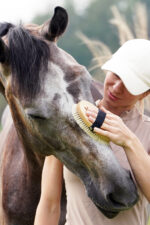 LULLALOVE SUPER SHINE Szczotka do głowy i relaksu dla konia, miękka - obrazek 5