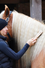 LULLALOVE SUPER SHINE Szczotka do pielęgnacji grzywy i ogona konia - obrazek 4