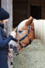 LULLALOVE SUPER SHINE Szczotka do pielęgnacji grzywy i ogona konia - obrazek 6
