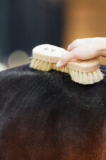 LULLALOVE SUPER SHINE Szczotka do kurzu i błota dla konia - obrazek 4