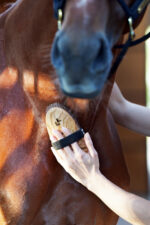 LULLALOVE SUPER SHINE Szczotka nabłyszczająca dla konia - obrazek 2