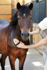 LULLALOVE SUPER SHINE Szczotka nabłyszczająca dla konia - obrazek 3