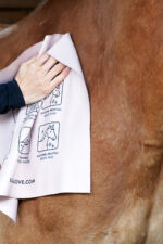 LULLALOVE SUPER SHINE Szmatka do osuszania i czyszczenia konia - obrazek 2