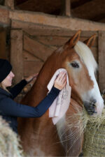 LULLALOVE SUPER SHINE Szmatka do osuszania i czyszczenia konia - obrazek 4