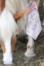 LULLALOVE SUPER SHINE Szmatka do osuszania i czyszczenia konia - obrazek 3