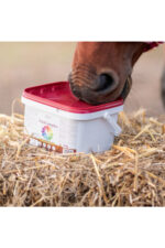 OVER HORSE VITACOMPLEX Witaminy i minerały dla koni 3 kg - obrazek 2