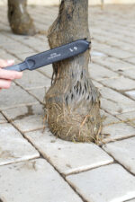 LULLALOVE SUPER SHINE Szczotka do mokrego błota, kopyta i nogi - obrazek 7