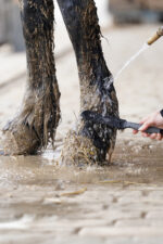 LULLALOVE SUPER SHINE Szczotka do mokrego błota, kopyta i nogi - obrazek 5