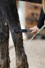 LULLALOVE SUPER SHINE Szczotka do mokrego błota, kopyta i nogi - obrazek 4