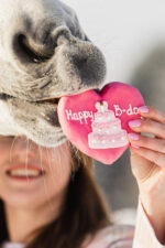 KOŃSKA CUKIERENKA Przysmak dla koni MINI TORCIK - obrazek 2