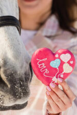 KOŃSKA CUKIERENKA Przysmak dla koni MINI TORCIK - obrazek 3