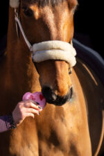 KOŃSKA CUKIERENKA Przysmak dla koni MINI TORCIK - obrazek 3