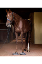 WALDHAUSEN HEALTH + CARE Podkładki balansujące dla konia - obrazek 5