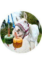 CANDY BELLS Lizawka dla konia BANANOWA - obrazek 4