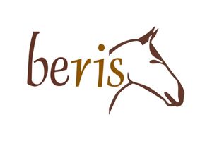 BERIS logo