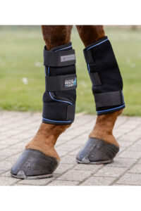 WALDHAUSEN HEALTH + CARE Ochraniacze chłodzące dla konia